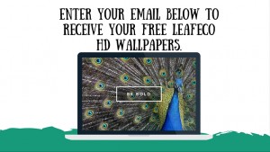 Free HD Leafeco Wallpapers available to download