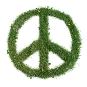 peace sign made from grass