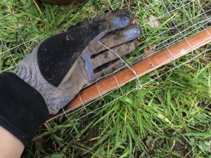 How to make a chicken wire compost bin