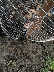 How to make a chicken wire compost bin