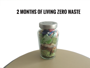 zero waste challenge review